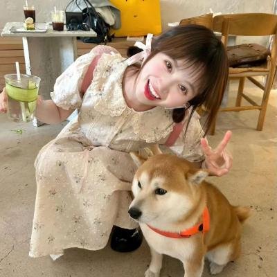 百日红